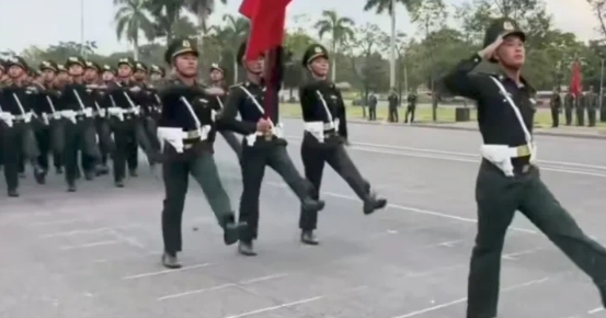 越南阅兵场被“抢镜”急红眼？三大硬伤注定其“中式正步”难成气候！​​