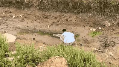 小伙子看到一大群小鱼聚集在一处即将干涸的浅水里，如果不尽快帮助它们回到深水里，很