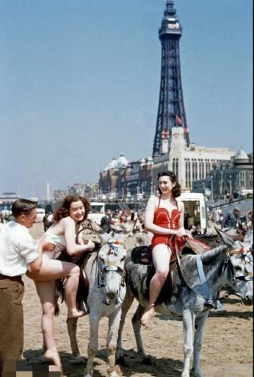 六十年代，美国迈阿密沙滩骑马的美女！一个美女由于吃的有点胖，矮马都骑不上，旁边男