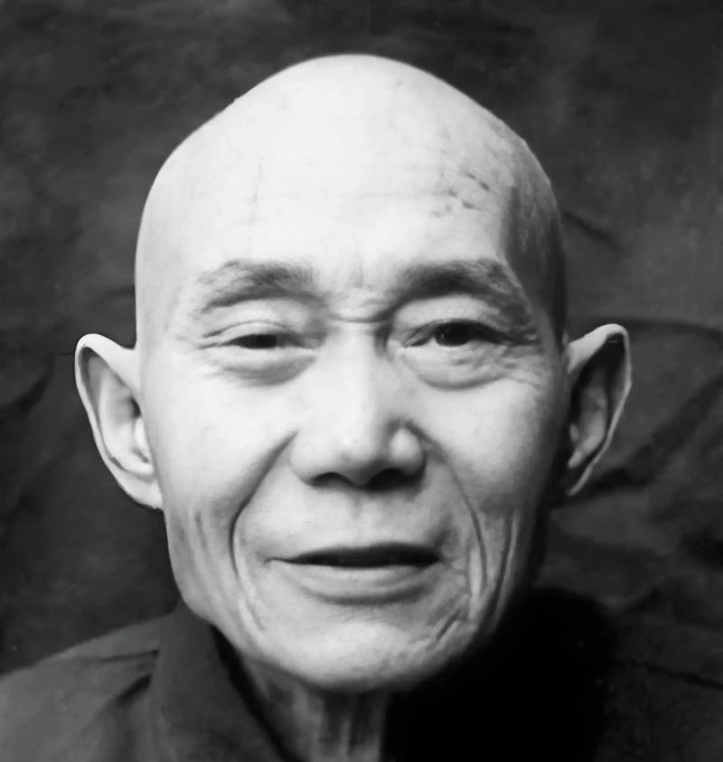 1940年5月，一名地下党投靠了日军，见到日军少将后，他突然拿出手枪，对着日军少