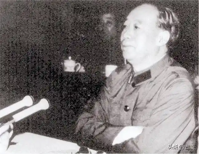 《汪东兴的功与过：从警卫生涯到政治晚节》