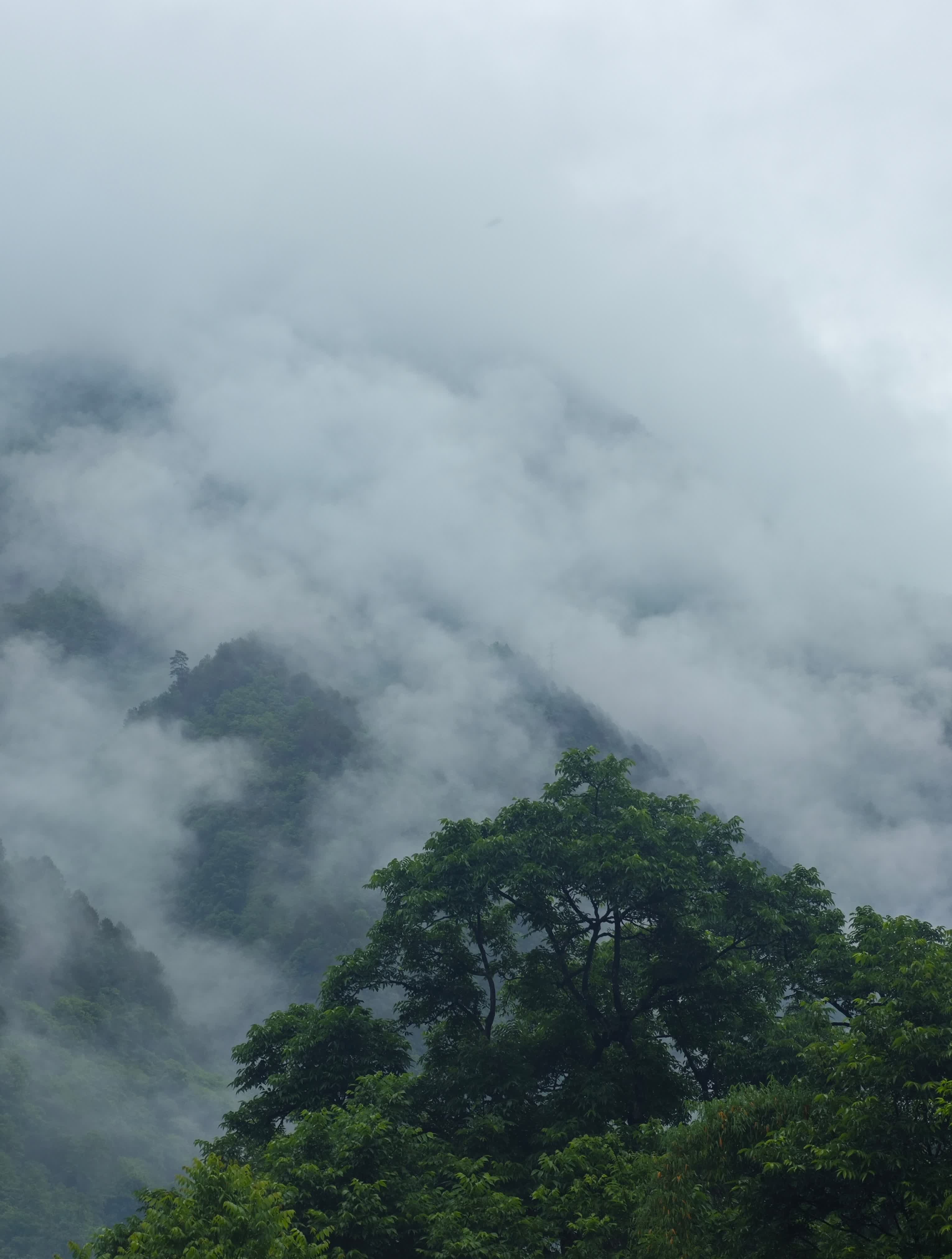 马嘉祺大战断眉 下雨看我先烤个火，一会儿开始看谁踢我一下