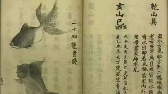 《开山地理秘窍》全流程实操指南！敬龙神·方位定吉凶·阴阳宅布局全覆盖