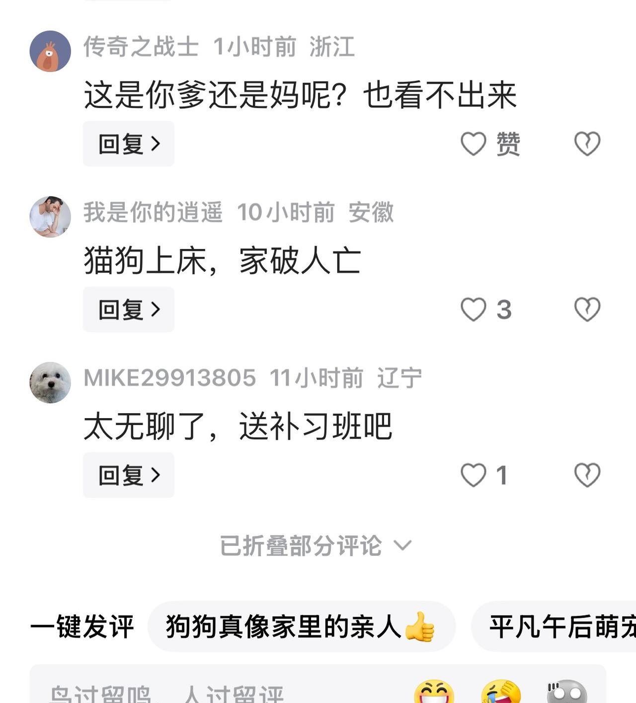 这是一位自媒体博主发了她家小狗狗躺在飘窗睡觉的小视频下面的评论。
白色的比熊，很