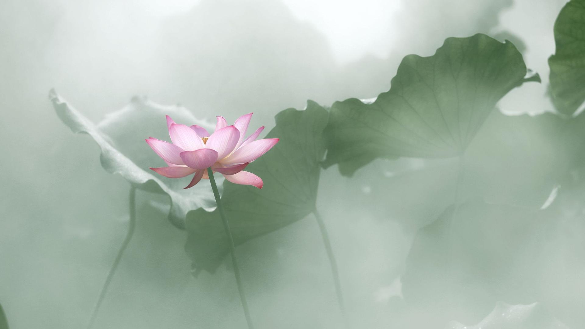 什么是修行？修行的本质