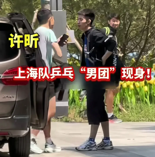有知情人透露，上海地产这次有特别的安排！
樊振东有可能不出任一单，他与许昕要组合