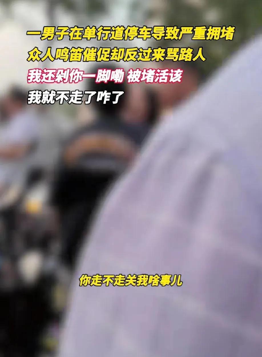 理想车主是怎么做到全国统一的！
河南一位男子驾车在单行道上停车，导致道路彻底堵住