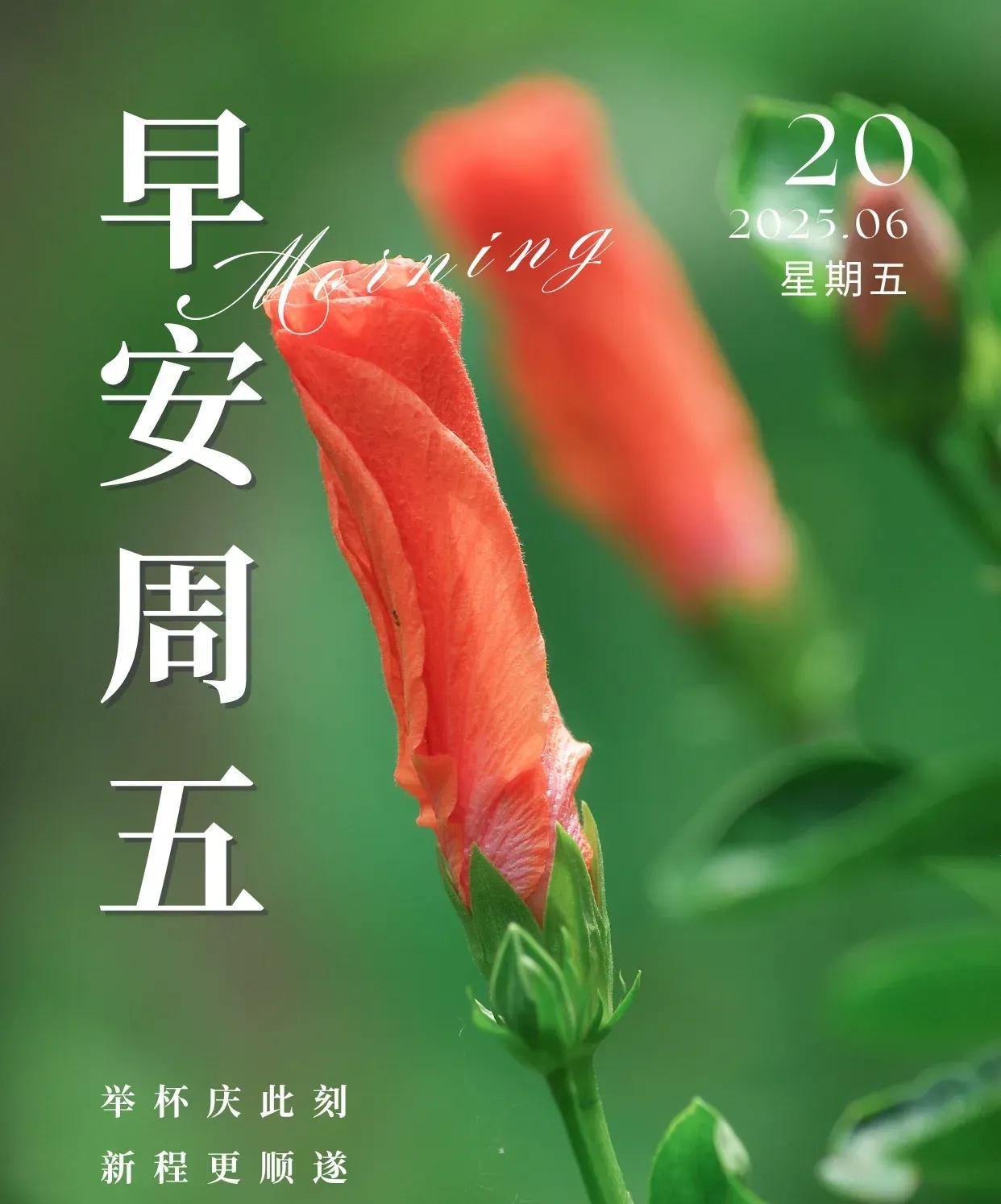 时光悠悠，花开花落，四季更迭，夏盛冬藏。岁月绵长，心态豁达，怀一份宁静，走过每一