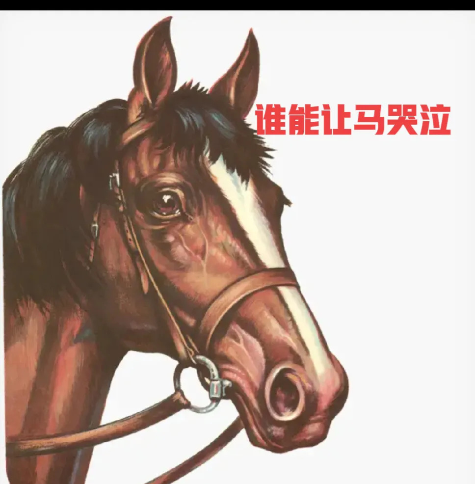 印度男子对马做不雅之事











---











你绝