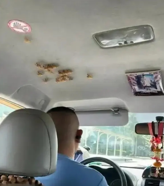 打个车差点得心脏病。
