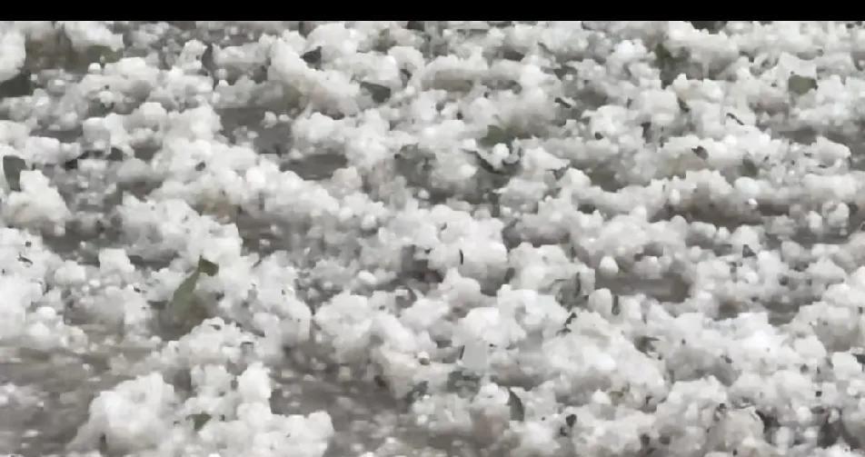永登中堡遭遇冰雹袭击。今天下午四点许，永登中堡一些地方，遭遇冰雹袭击。从网友拍摄
