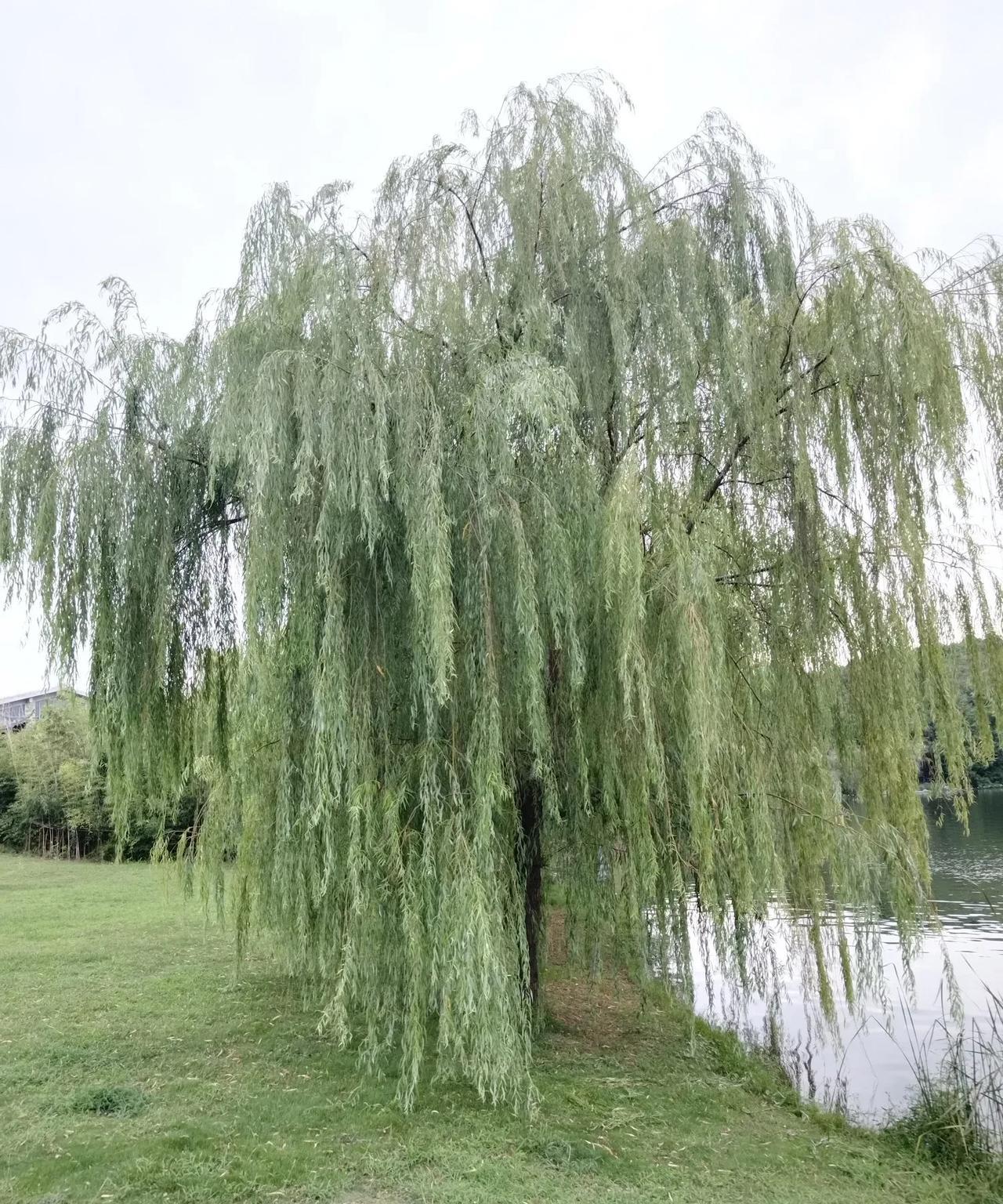 高考过后，有不少70后、80后外出打工的父母后悔了，他们当初为了挣钱，夫妻双双外