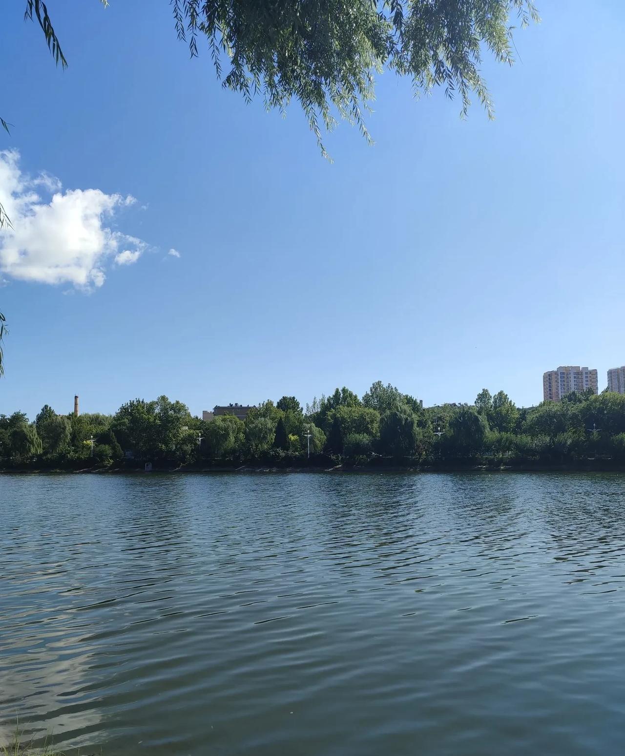 北京阳光在线，蓝天回来了！
秋高气爽，湛蓝的天空，微风拂面，这才是秋天的样子。今