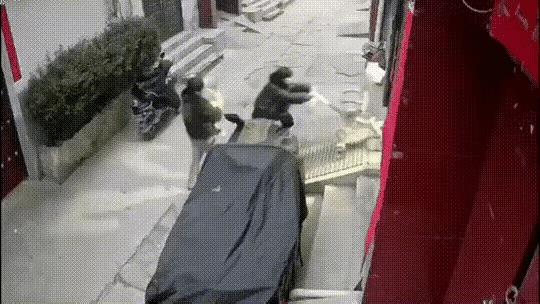 自讨苦吃，只是可怜了襁褓中的小孩子。