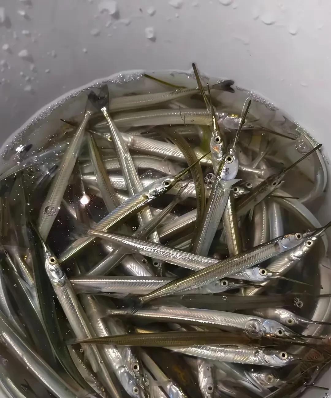 请教一下各位钓鱼大师，
钓这种鱼用几号钩子合适？