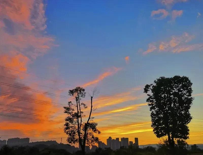 今天的长沙阴天，早上一出门凉风习习，终于不像前几天那么暴晒，天气预报说今天有雨，