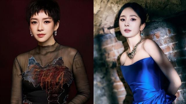 今年的上影节，《酱园弄》是当之无愧的最大赢家，剧组红毯上出现的各个是大咖不说，还获得了开幕影片的特别