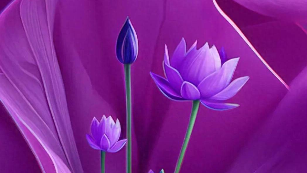 安于命运之数，尽人事不浮躁，听天命不气馁，活得自在从容