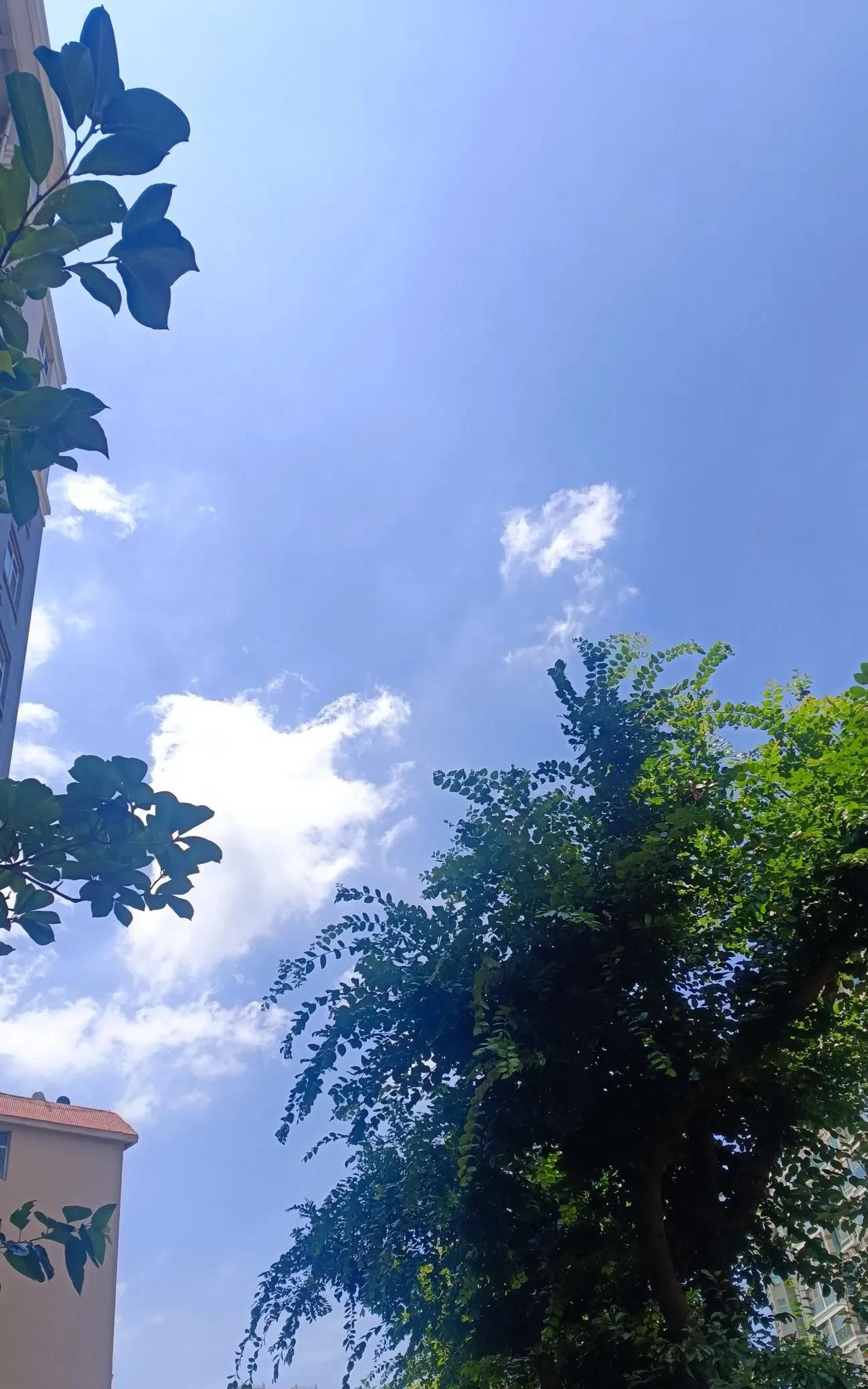 自己退休工资从1000出头
写到现在涨到1500多
到超市买个菜能写
家里缺了空
