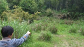 拆房易安居难！宁波宁海17年未兑现宅基地，17户村民漂泊盼归宿