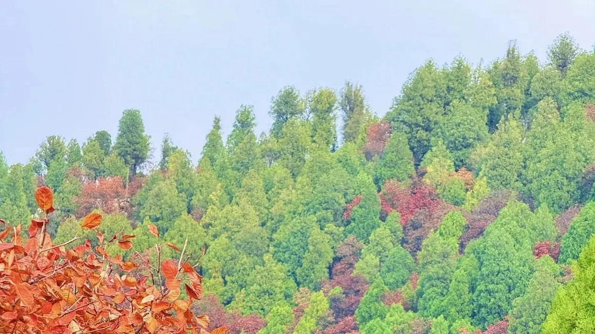 人生最美妙的状态：五五分