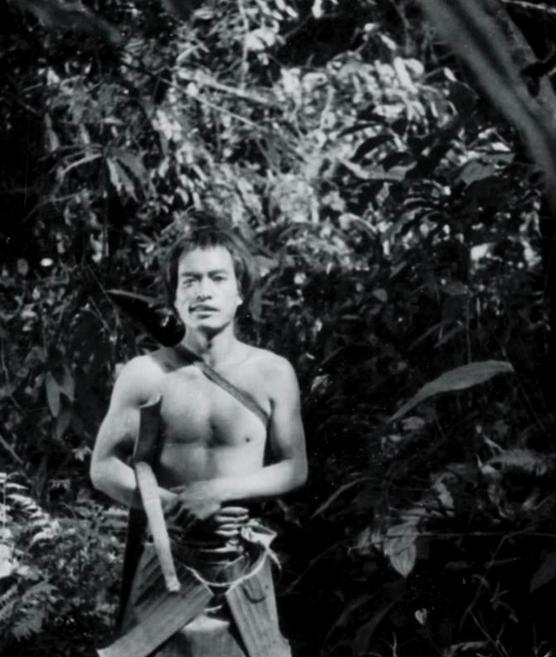 1956年，部队在云南原始森林深处，发现一群衣不蔽体、蓬头垢面的男男女女。经过调