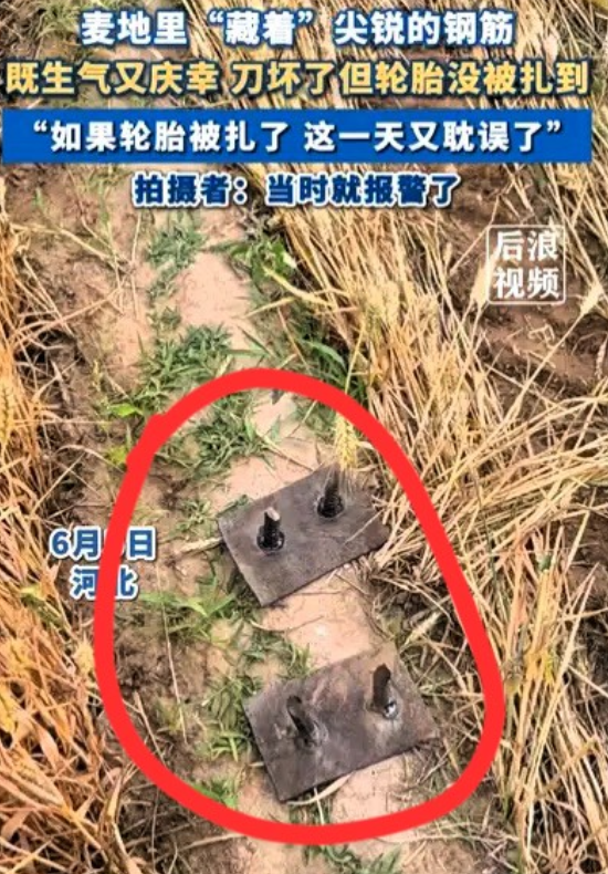 麦田惊现新焊钢筋！收割机受损农户忧
女子收割麦子时，发现麦田埋有两根新焊钢筋，担