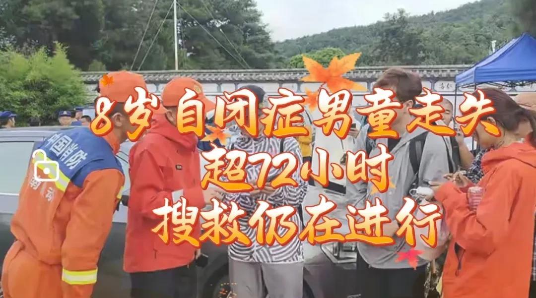 8岁自闭症男童大理苍山走失超72小时，搜救仍在进行
8月9日上午11点40分左右