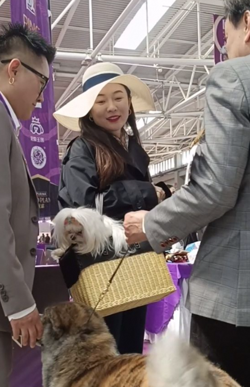 霍思燕现身宠物展 身材微胖却不招人嫌 