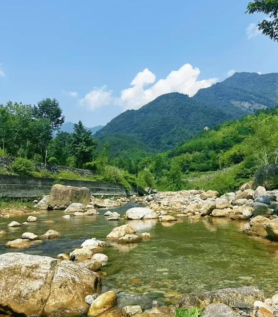与林娇娇在一起的24小时，除了去菜市场买菜那一小时，23小时，没出门。
这是我们