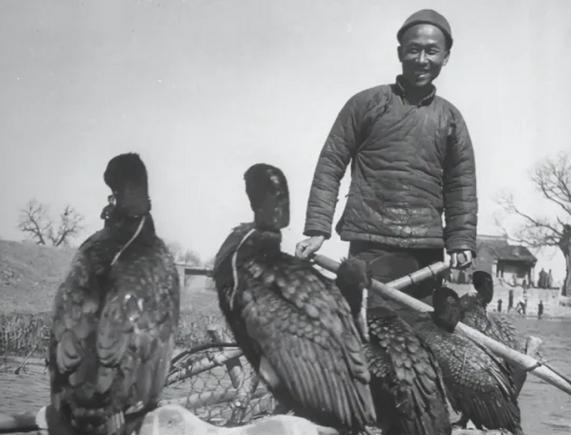 1942年，一渔夫主动搭载十六名日军渡江，在抵达江中心时，渔夫哈哈大笑转身跳入湍