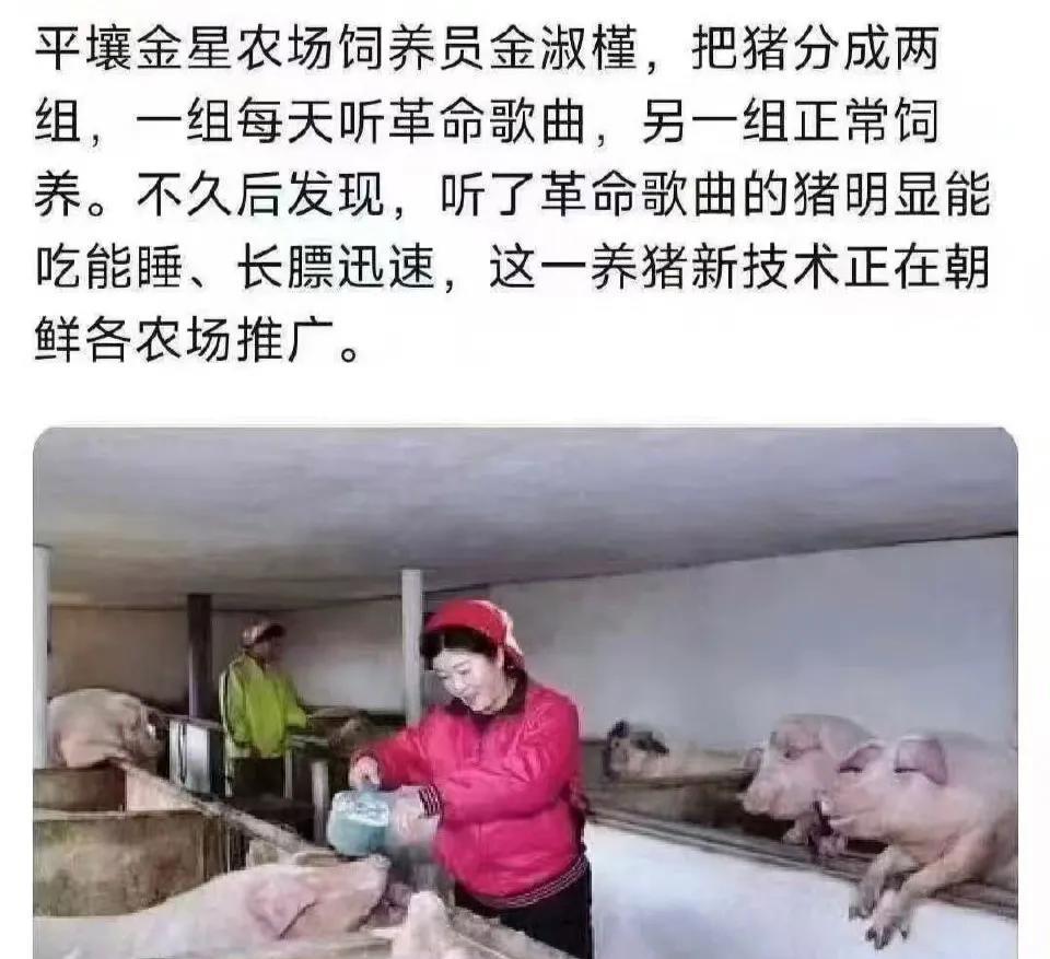 这个迷惑的操作效果，
我看可信度不高，
如果这样的话，
啥动物听北韩歌曲就能使劲