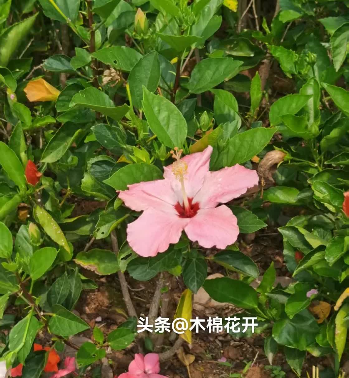 女孩子在外面保护好自己才是最重要的。
昨天晚上八点多，我和女儿一起在公交站等车