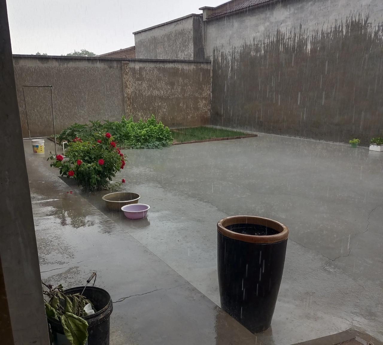 从昨天就在酝酿的这场大雨，
终于今天下午16点10分拉开序幕，一下就是暴雨，偶尔