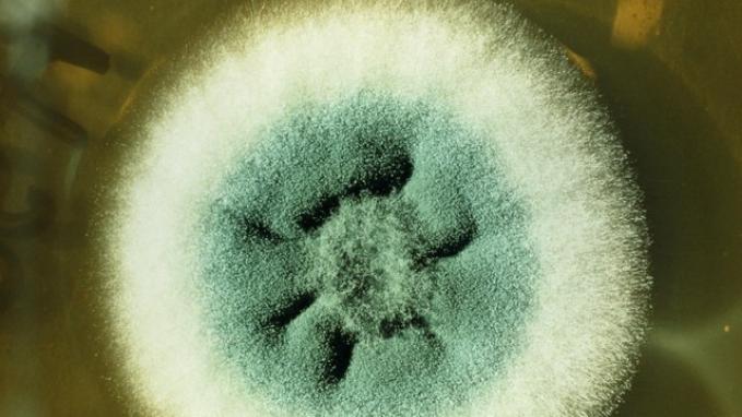 看完生物化工的四大系列产品，你会发现和你的生活息息相关