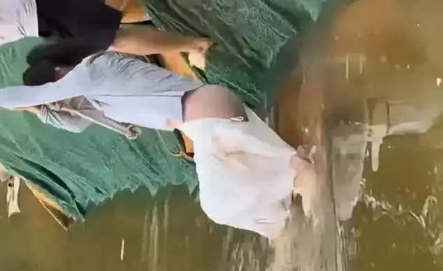 热议不正确的开车姿势，后果很严重