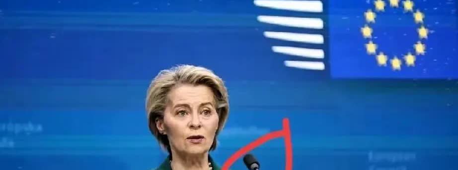 欧盟主席心急火燎赶来！
海关总署数据显示，2024年1-6月中国对欧新能源汽车