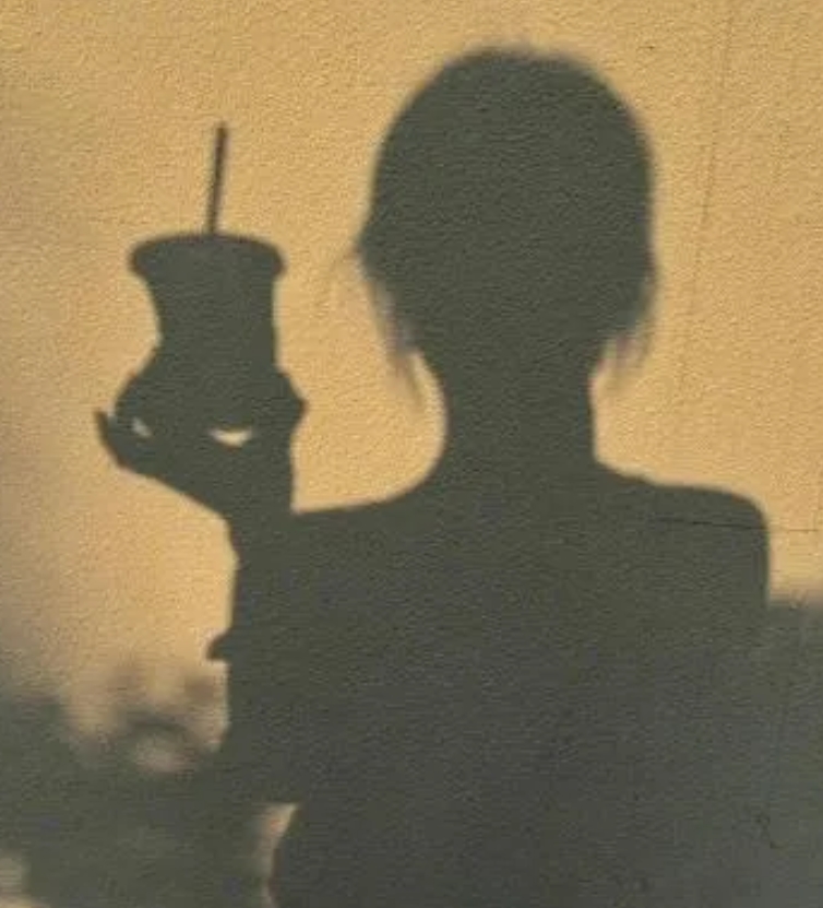 《人间失格》里的一段清醒的话:
“我的骄傲不允许我把这段崩溃的日子告诉别人，只有