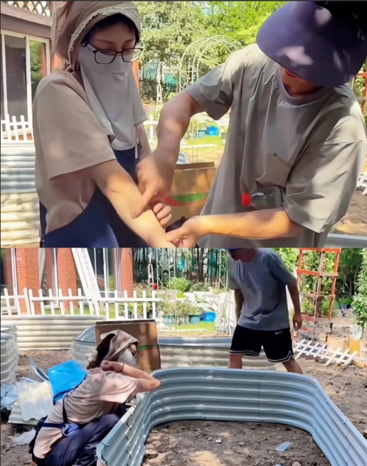 如郑恺所说，苗苗真的好爱折腾！


近日苗苗发了一个在自家后院种菜视频，搭框架，