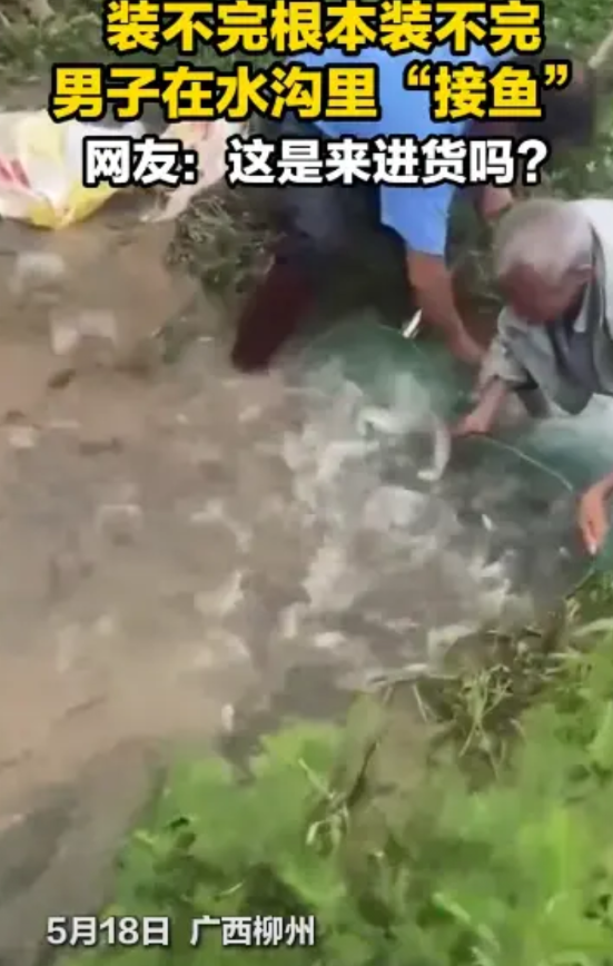 “这就是命中注定！”5月18日，广西柳州，一男子河边钓鱼时，意外遇到了大型鱼群，