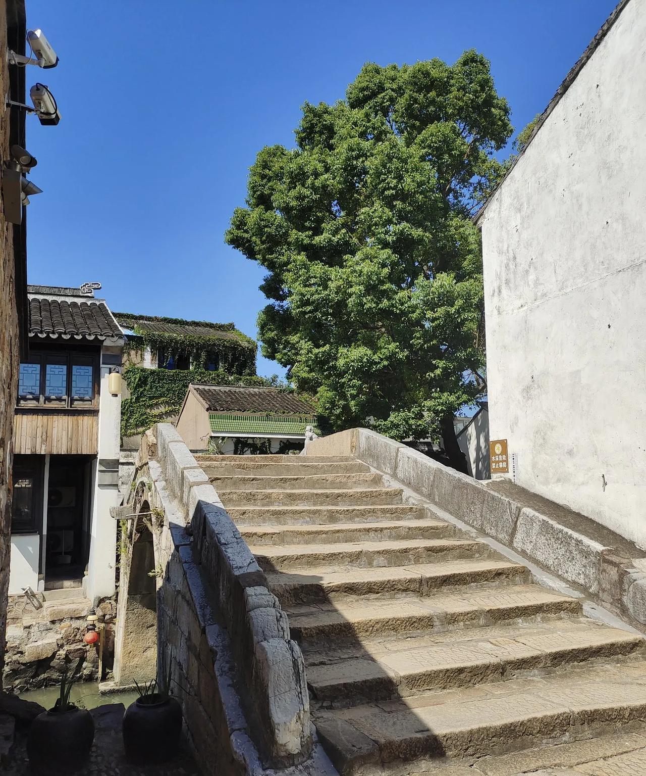 被发小设计庞氏骗局了
发生在身边的骗局，这个发小纯靠骗身边的人出去胡吃海喝，等大