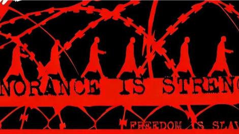 当数据成为真相：我们如何集体供养一套扭曲的评价系统？