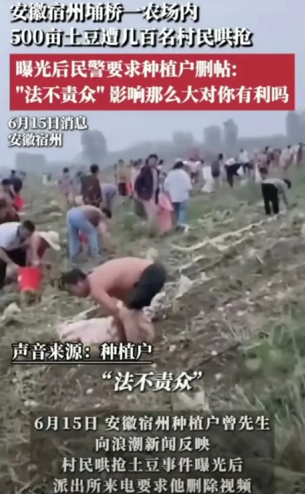 这事闹的有点大了，一句“法不责众”，将“抢土豆”事件推上了热搜，且被大家称之为，