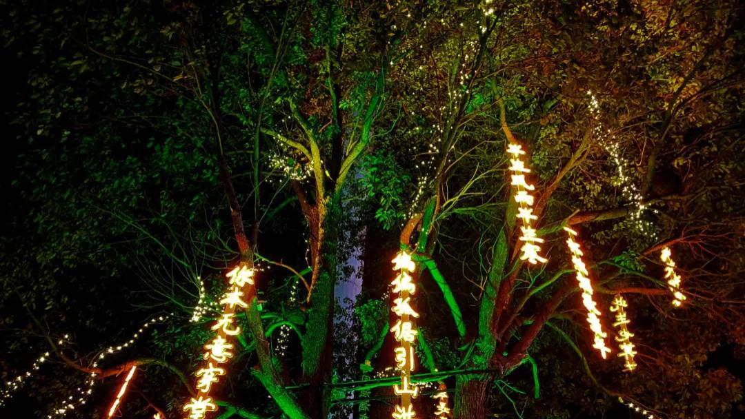 随笔：阅己，越己，悦己