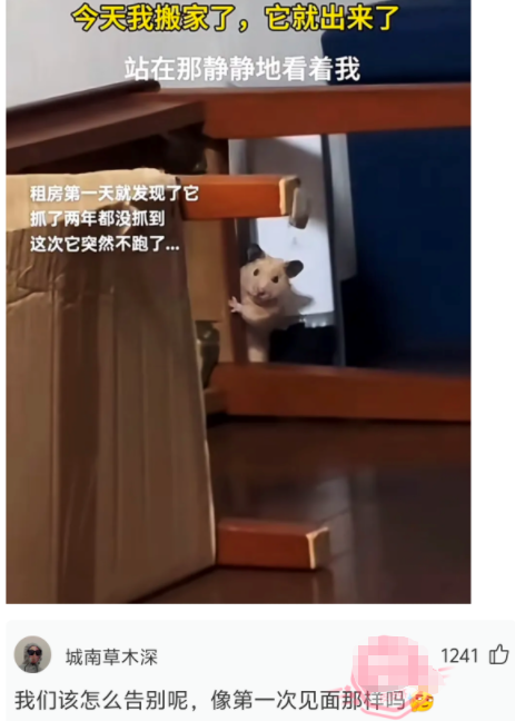 今天我搬家了，它就出来了