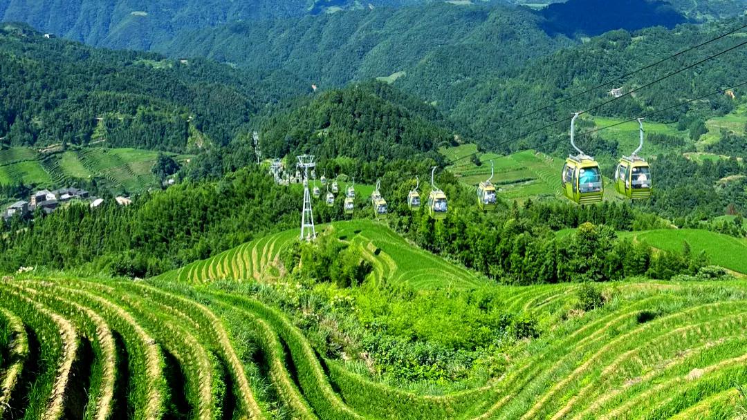 山西大寨攻略及地接社选择：探秘“红色记忆与田园诗画”的振兴样本