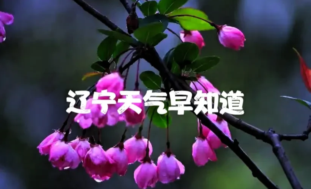 辽宁的朋友注意了！明天是6月27号星期五，明天辽宁有小雨、中雨、阵雨、大风、冰雹