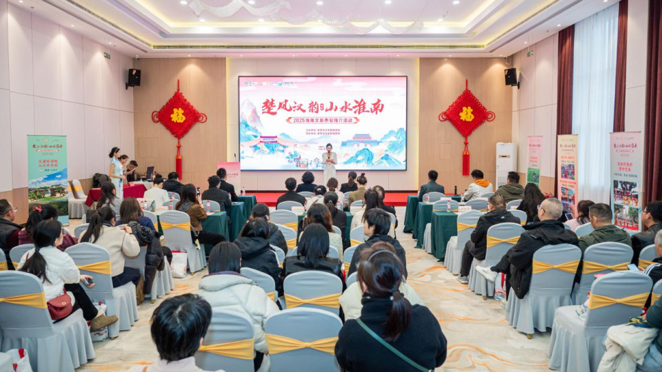 楚风汉韵 山水淮南，2025淮南文旅泰安推介活动成功举办