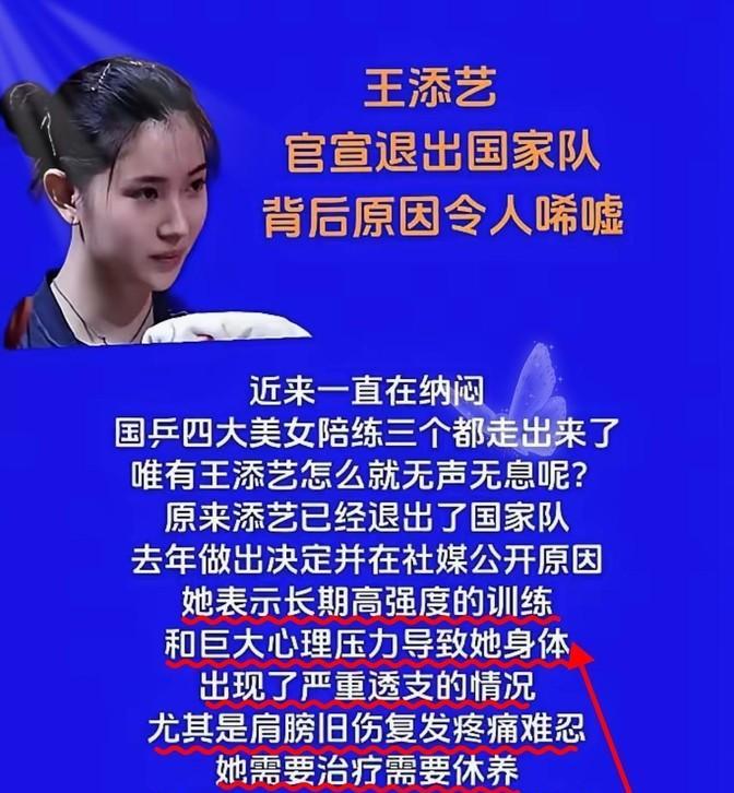 “陪练出走，真相让人说不出话。”王添艺一走，揭开的不只是国乒一角，更是无数幕后身