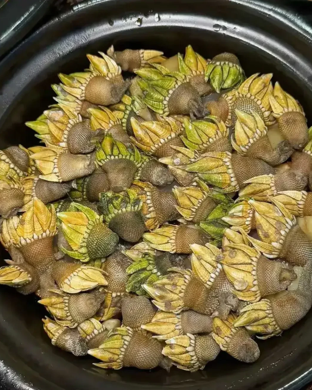 这诱人的美食源自哪里？有知道叫什么的吗
